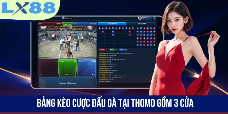 Bảng kèo cược đấu gà tại Thomo gồm 3 cửa