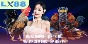 Đá Gà Thomo - Lịch Thi Đấu Và Link Xem Trực Tiếp Miễn Phí